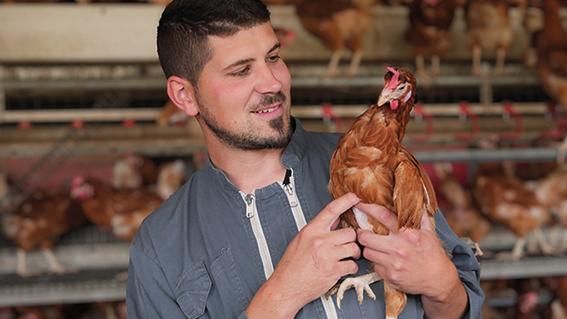 Image d'illustration du métier Ouvrier avicole H/F