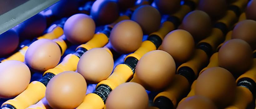 Image d'illustration du sujet Rejoindre notre entreprise c'est :