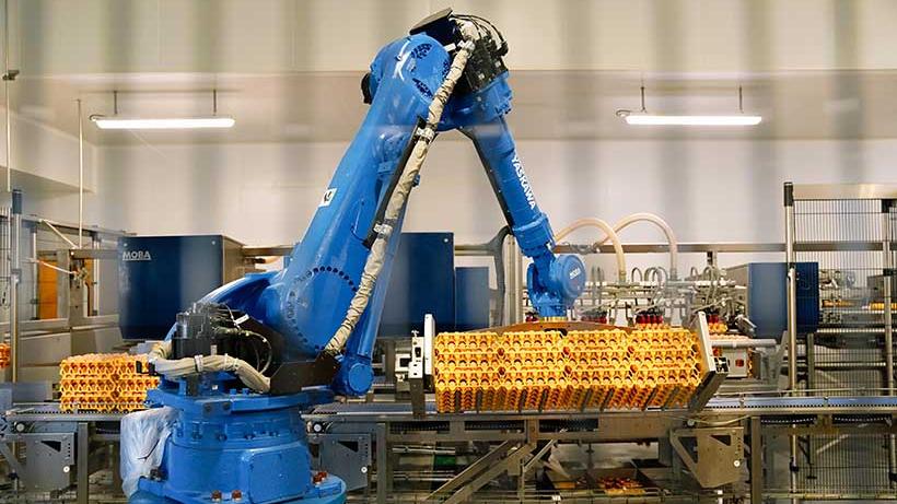 Image d'illustration de l'actualité Ovoproduits au cœur de la modernisation industrielle chez Les Œufs Geslin