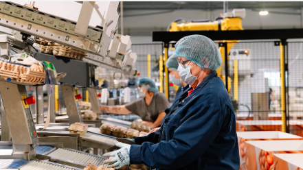 Image d'illustration du métier Opérateur de Production H/F