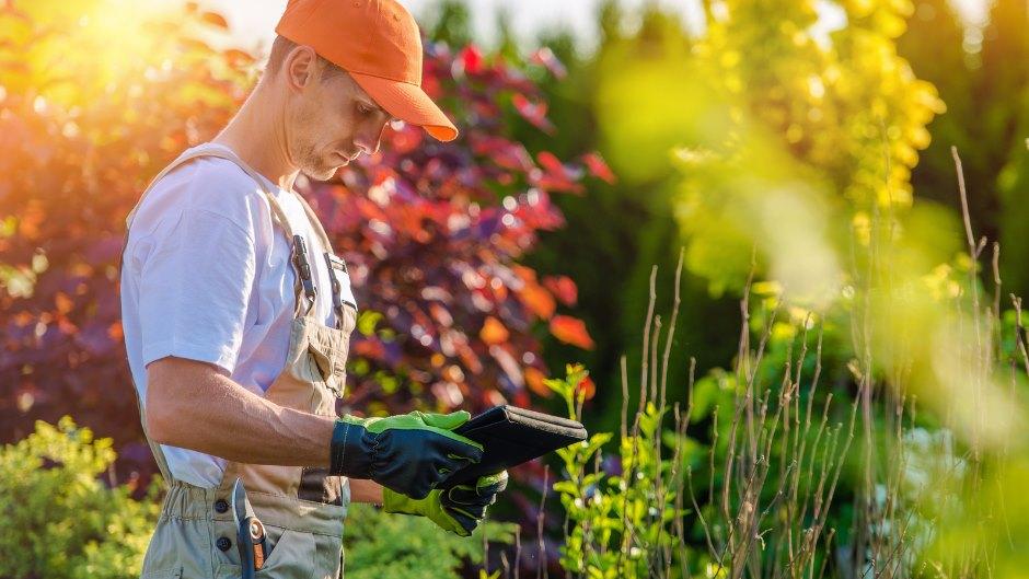 Image d'illustration du métier Jardinier / Paysagiste