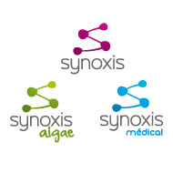 Logo de l'entreprise Synoxis