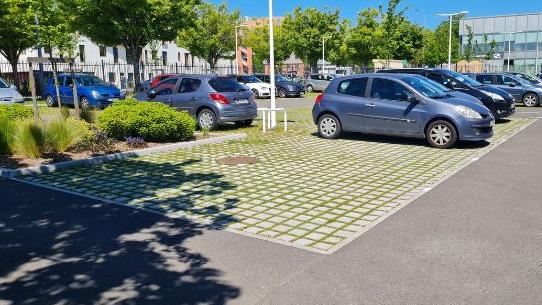 Image d'illustration de l'actualité Un aménagement paysager durable