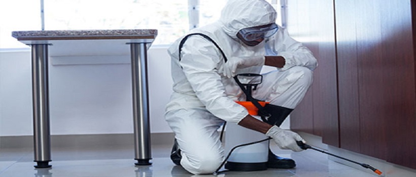 Image d'illustration de l'entreprise Derichebourg