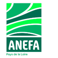 Logo de l'entreprise ANEFA Pays de la Loire