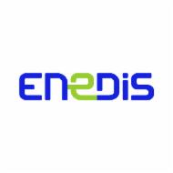 Logo de l'entreprise ENEDIS