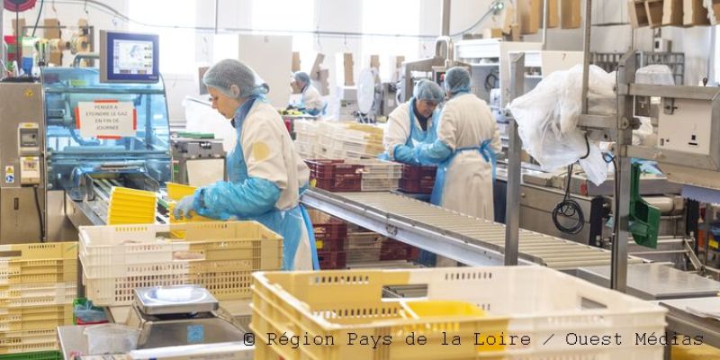 Agroalimentaire : un secteur toujours dynamique