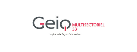 GEIQ MULTISECTORIEL 53